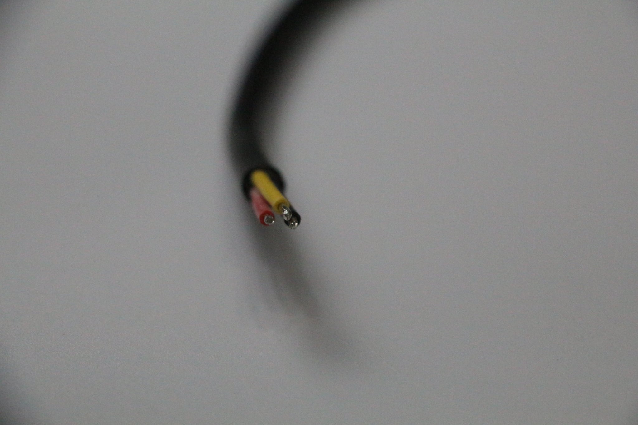 Pigtail Ray Wu-2