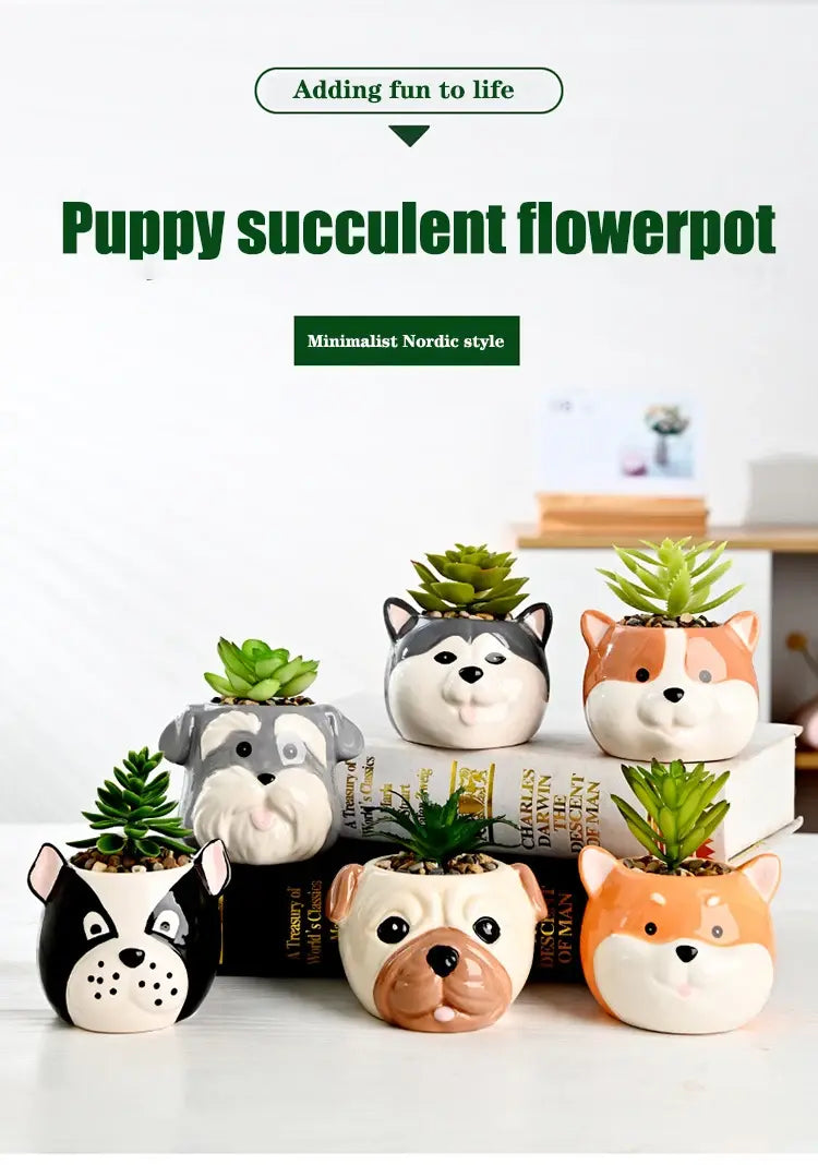 The Little Character — Ceramic Animal Succulent & Plant Pot for Desk or Shelf