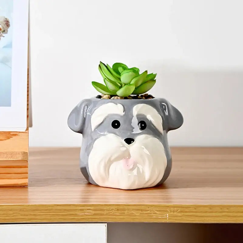 The Little Character — Ceramic Animal Succulent & Plant Pot for Desk or Shelf
