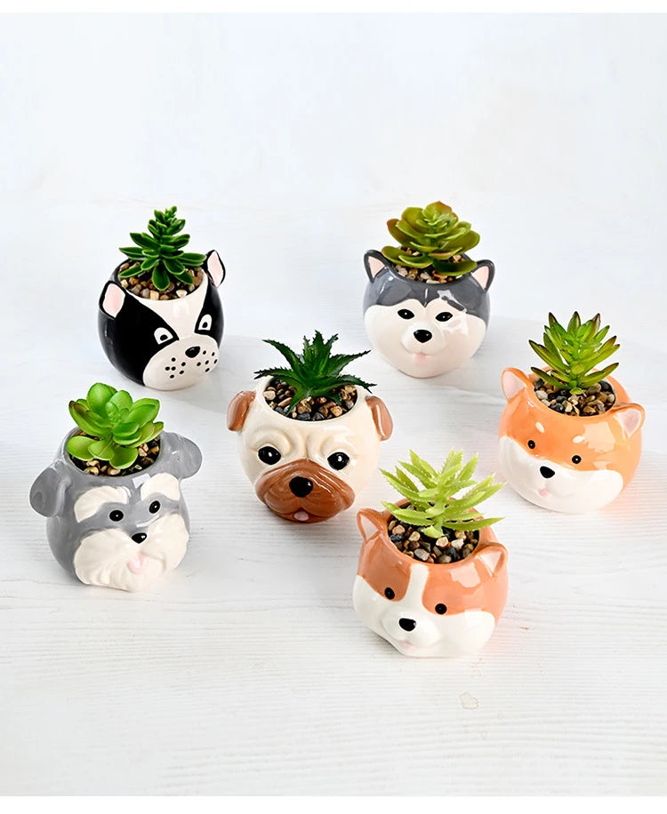 The Little Character — Ceramic Animal Succulent & Plant Pot for Desk or Shelf