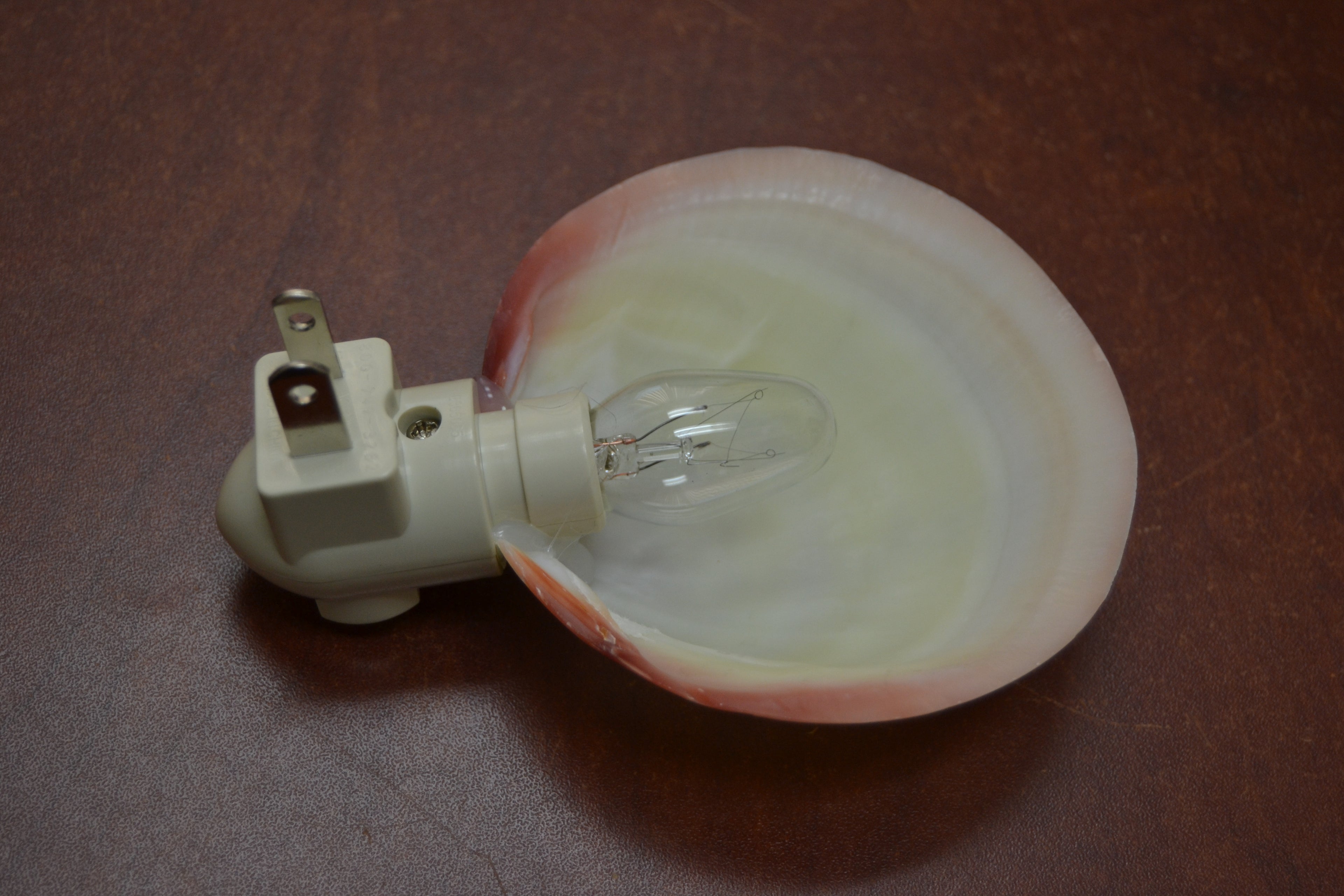 Mother of pearl shell nightlight close-up - natural seashell plug-in light