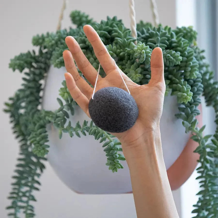 Gentle Charcoal Konjac Facial Sponge for Softer Skin