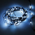 Seed Pixel Strands Xconnect-0