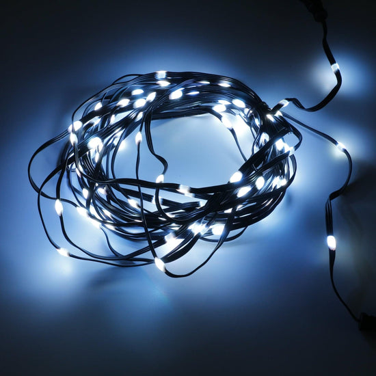 Seed Pixel Strands 12V XConnect 50ct & 100ct illuminated in vibrant white light on a dark backdrop.Seed Pixel Strands  12V XConnect 50ct & 100ct
