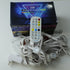 LED Outdoor Decorative Lights-0