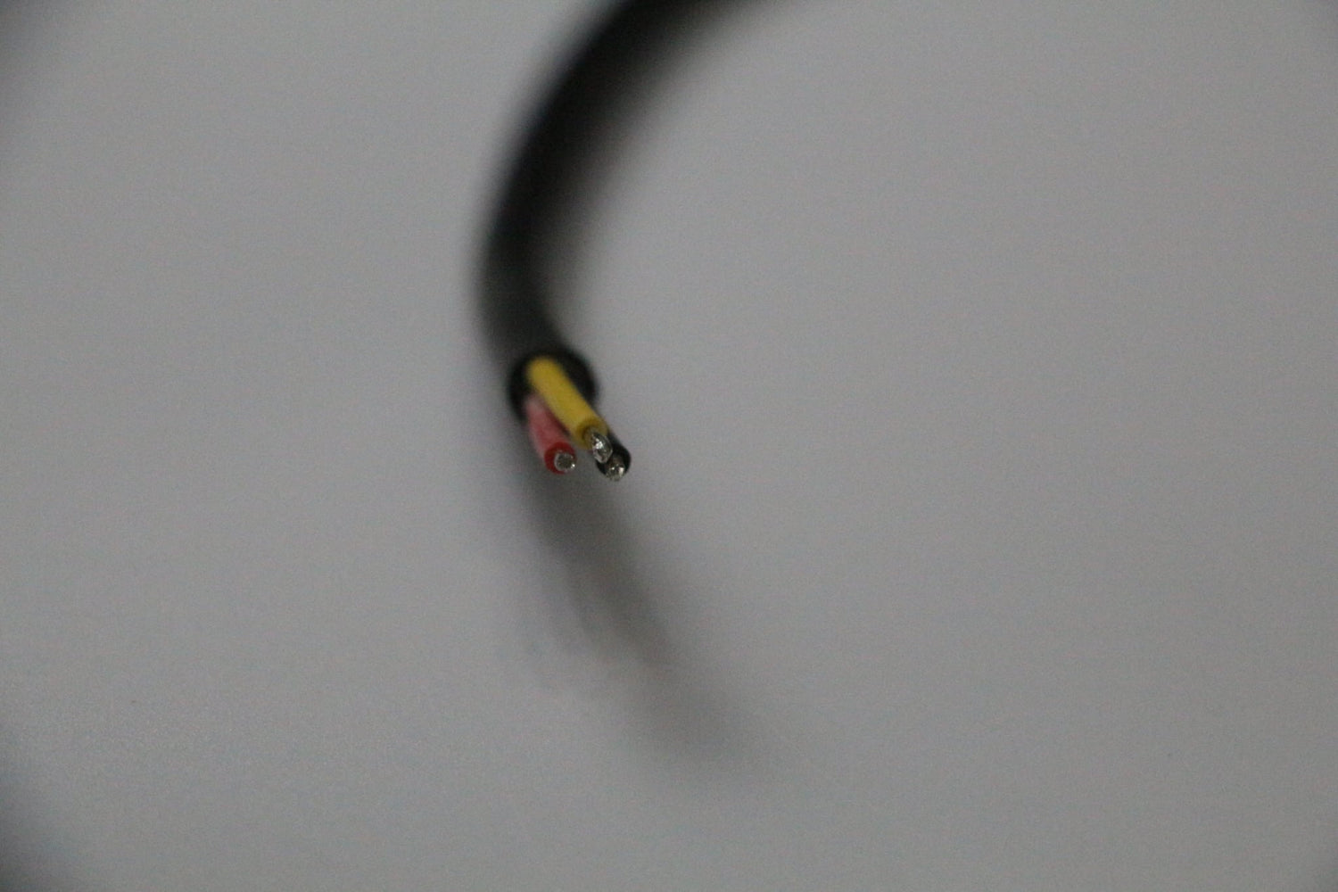 Pigtail Ray Wu-2