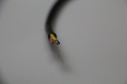 Pigtail Ray Wu-2