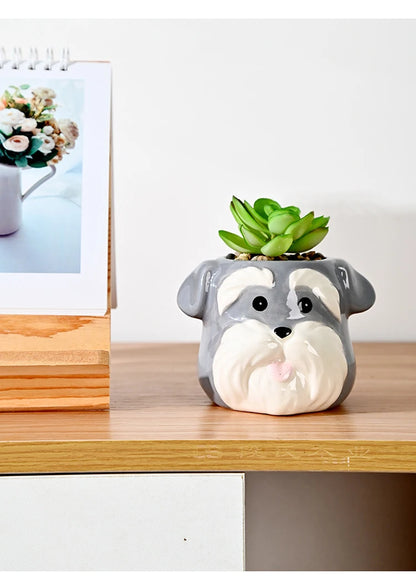 The Little Character — Ceramic Animal Succulent &amp; Plant Pot for Desk or Shelf