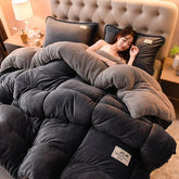 Lamb Fleece Blanket Winter Comforter Thickened Quilts Double-sided Velvet Warm Quilt Single Double Dormitory Milk Fleece Core Jonine&