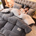 Lamb Fleece Blanket Winter Comforter Thickened Quilts Double-sided Velvet Warm Quilt Single Double Dormitory Milk Fleece Core Jonine&