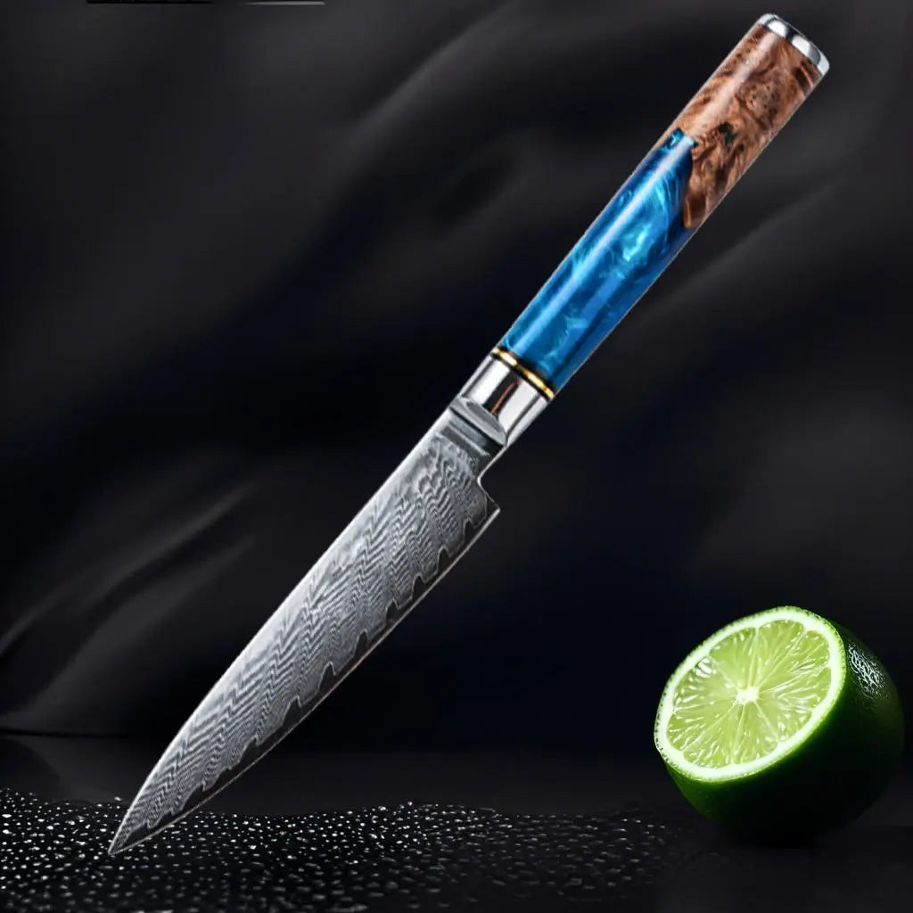 Damascus Steel High Carbon 67 Layer VG10 Chef&