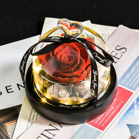 Preserved Rose in LED Glass Dome — Forever Flower Gift