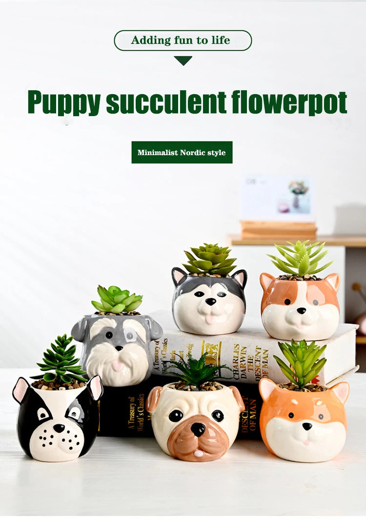 The Little Character — Ceramic Animal Succulent &amp; Plant Pot for Desk or Shelf