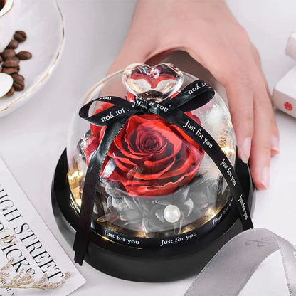 Preserved Rose in LED Glass Dome — Forever Flower Gift