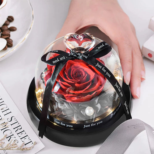 Preserved Rose in LED Glass Dome — Forever Flower Gift