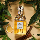 Purity Nature Eau De Toilette Varporisateur 100ML Rose Mint Cherry Dance Long-lasting Floral Fragrance Perfume