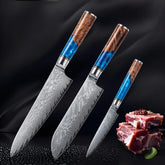 Damascus Steel High Carbon 67 Layer VG10 Chef&