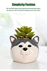 The Little Character — Ceramic Animal Succulent & Plant Pot for Desk or Shelf Jonine’s Corner