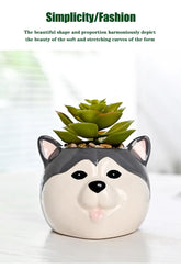 Ceramic Succulent Flower Pot Home Garden Animal Plant Pot Flower Vase Decoration Home Vase for Flower Office Table Decor