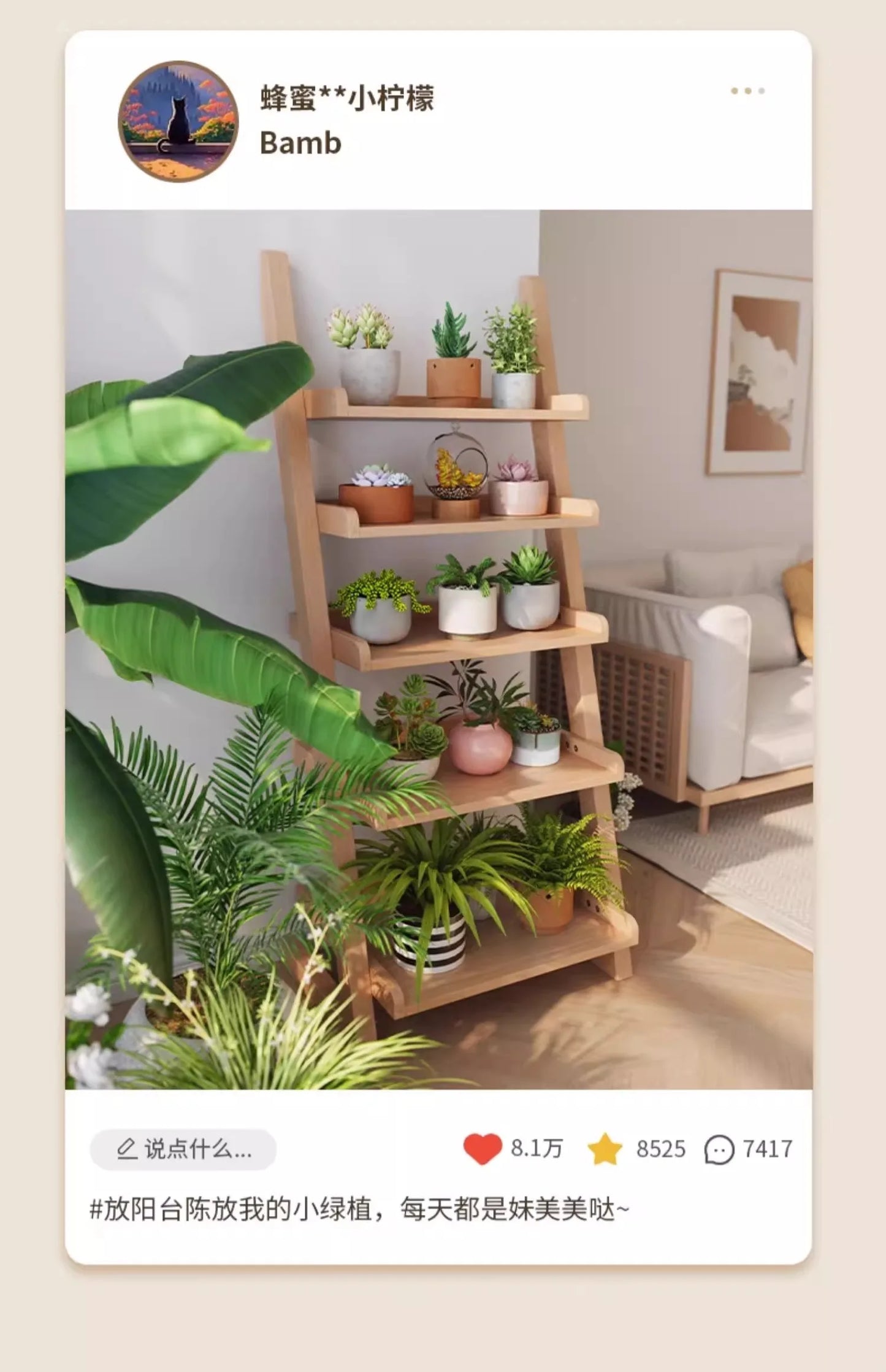 Where Books Meet Beauty — Minimalist Open Bookshelf & Display Cabinet