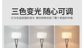Scandinavian Modern Iron Floor Lamp Creative Minimalist for Living Room Bedroom Study Night Lighting Home Decor Items LED Jonine’s Corner