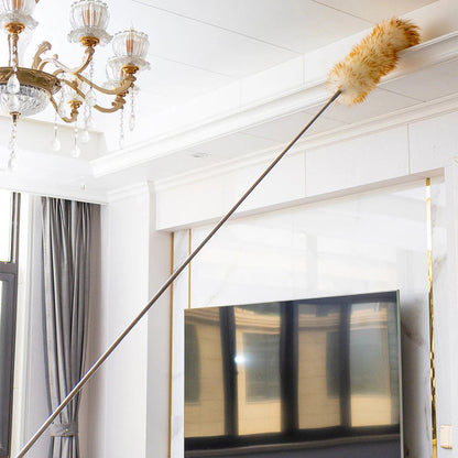 Natural Feather &amp; Wool Duster