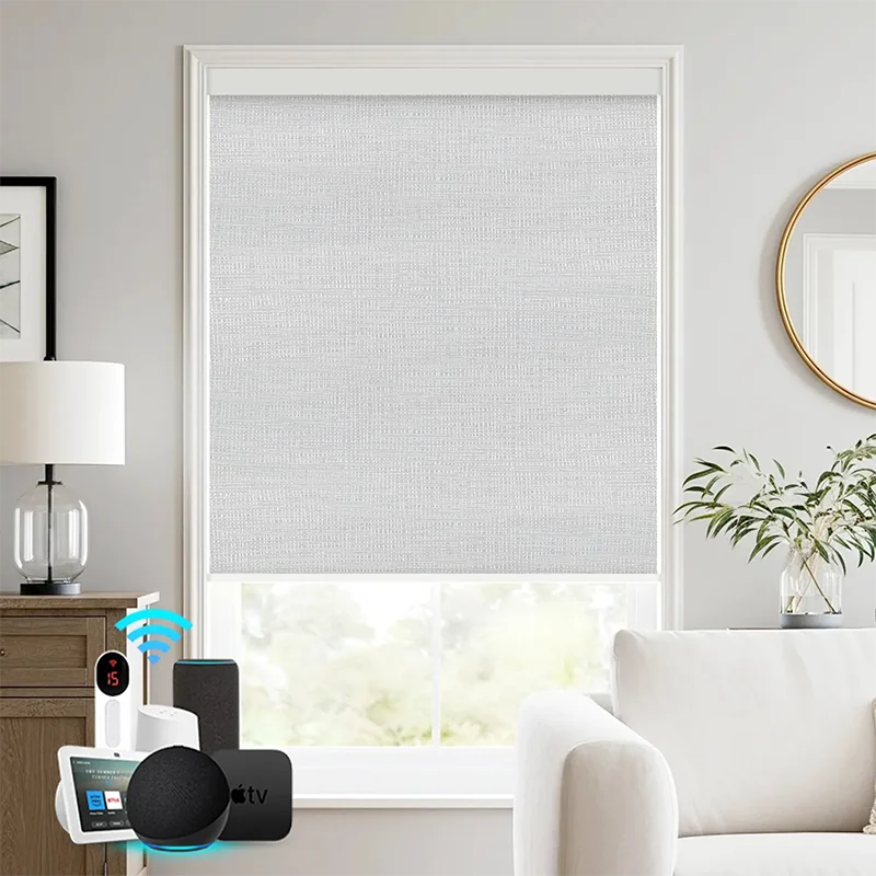 Smart Electric Blackout Roller Shades