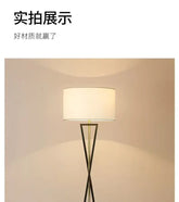 Scandinavian Modern Iron Floor Lamp Creative Minimalist for Living Room Bedroom Study Night Lighting Home Decor Items LED Jonine’s Corner