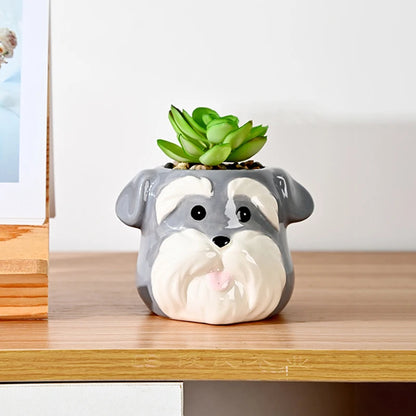 The Little Character — Ceramic Animal Succulent &amp; Plant Pot for Desk or Shelf