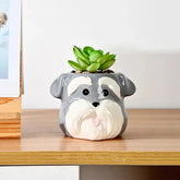 The Little Character — Ceramic Animal Succulent & Plant Pot for Desk or Shelf Jonine’s Corner