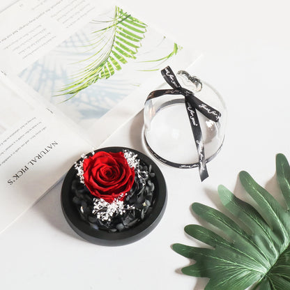 Preserved Rose in LED Glass Dome — Forever Flower Gift