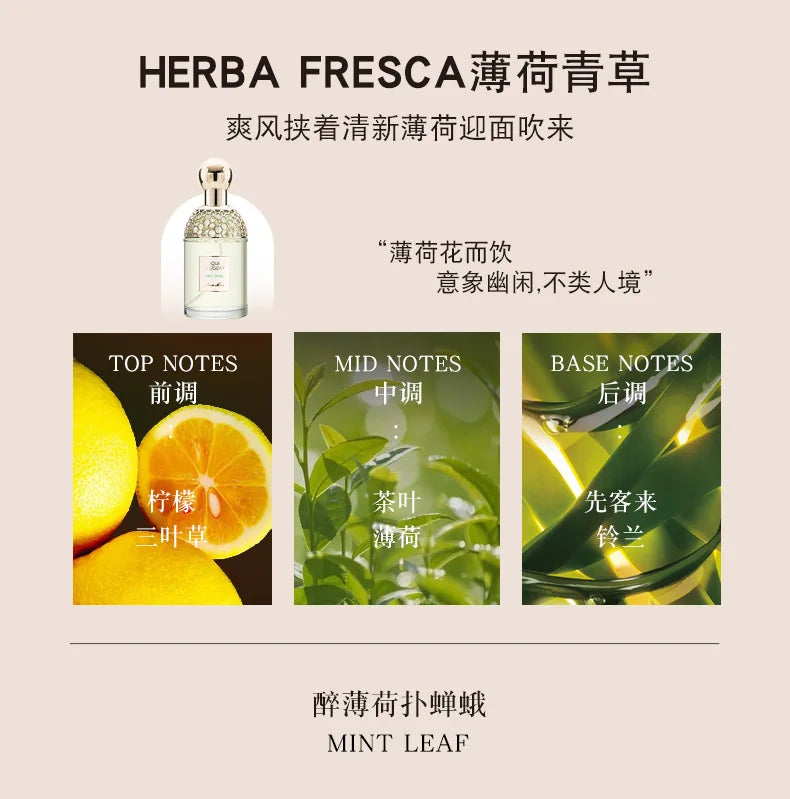 Purity Nature Eau de Toilette 100ml — Rose, Mint & Cherry Floral Fragrance