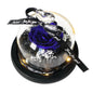 Preserved Rose in LED Glass Dome — Forever Flower Gift