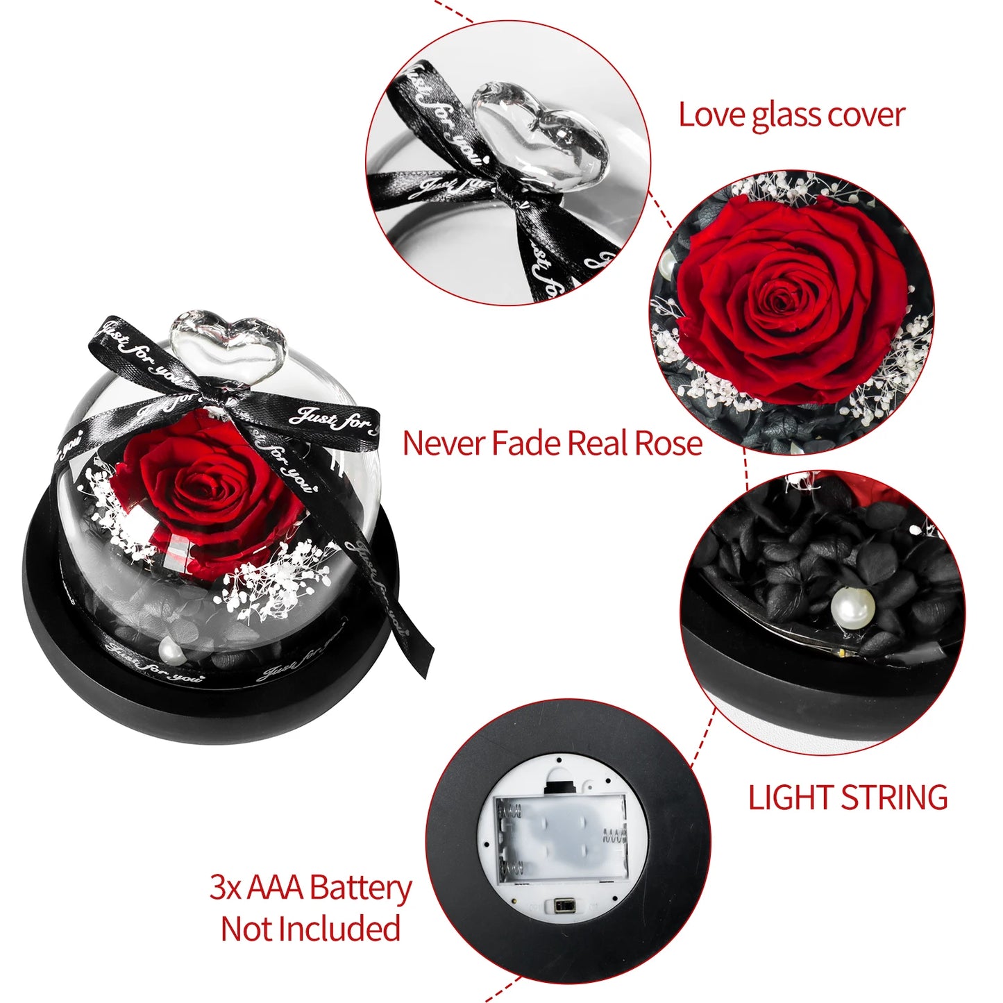 Preserved Rose in LED Glass Dome — Forever Flower Gift