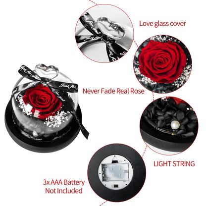 Preserved Rose in LED Glass Dome — Forever Flower Gift