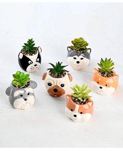 The Little Character — Ceramic Animal Succulent &amp; Plant Pot for Desk or Shelf