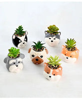 The Little Character — Ceramic Animal Succulent & Plant Pot for Desk or Shelf Jonine’s Corner