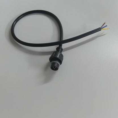 Pigtail Ray Wu-3