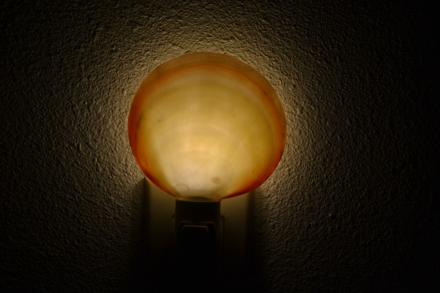Pink mother of pearl seashell nightlight - coastal boho plug-in lamp