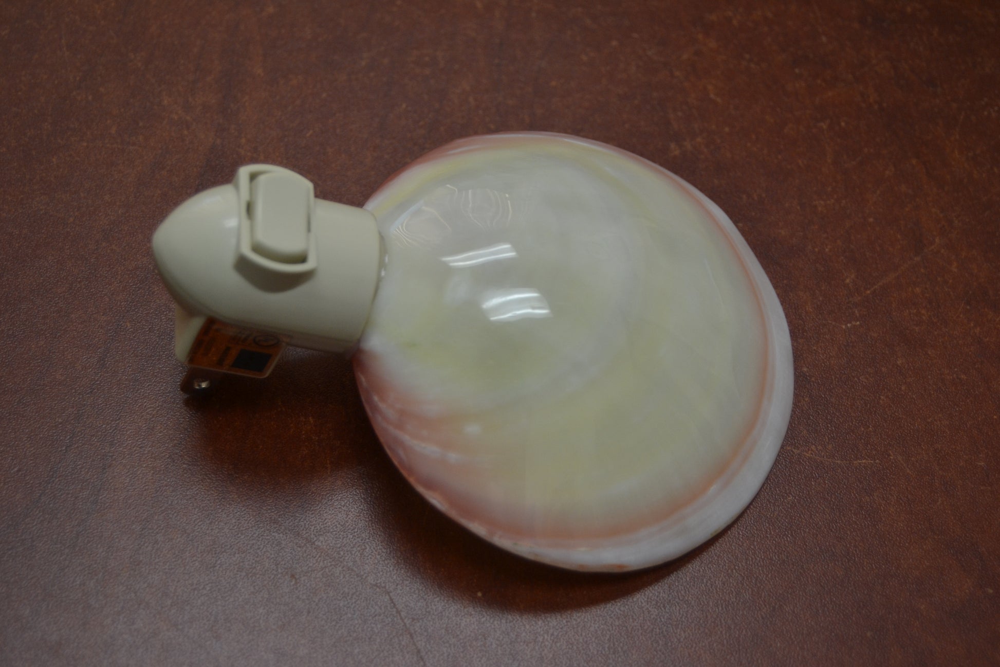 Seashell nightlight glowing - pink mother of pearl coastal decor