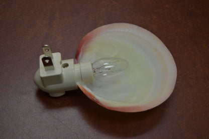 Mother of pearl shell nightlight close-up - natural seashell plug-in light