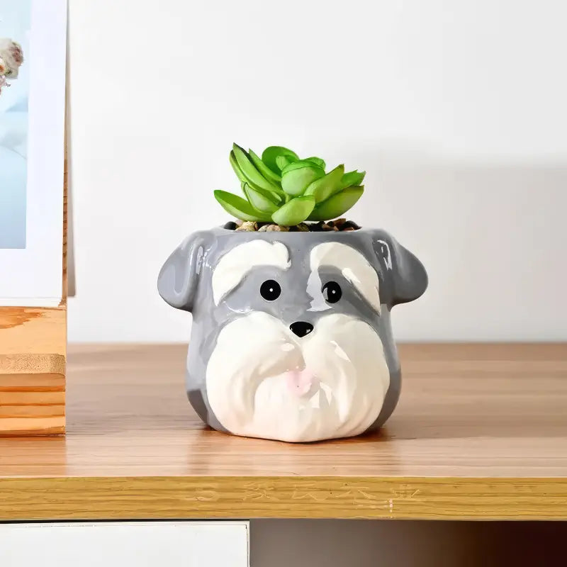 The Little Character — Ceramic Animal Succulent & Plant Pot for Desk or Shelf Jonine’s Corner